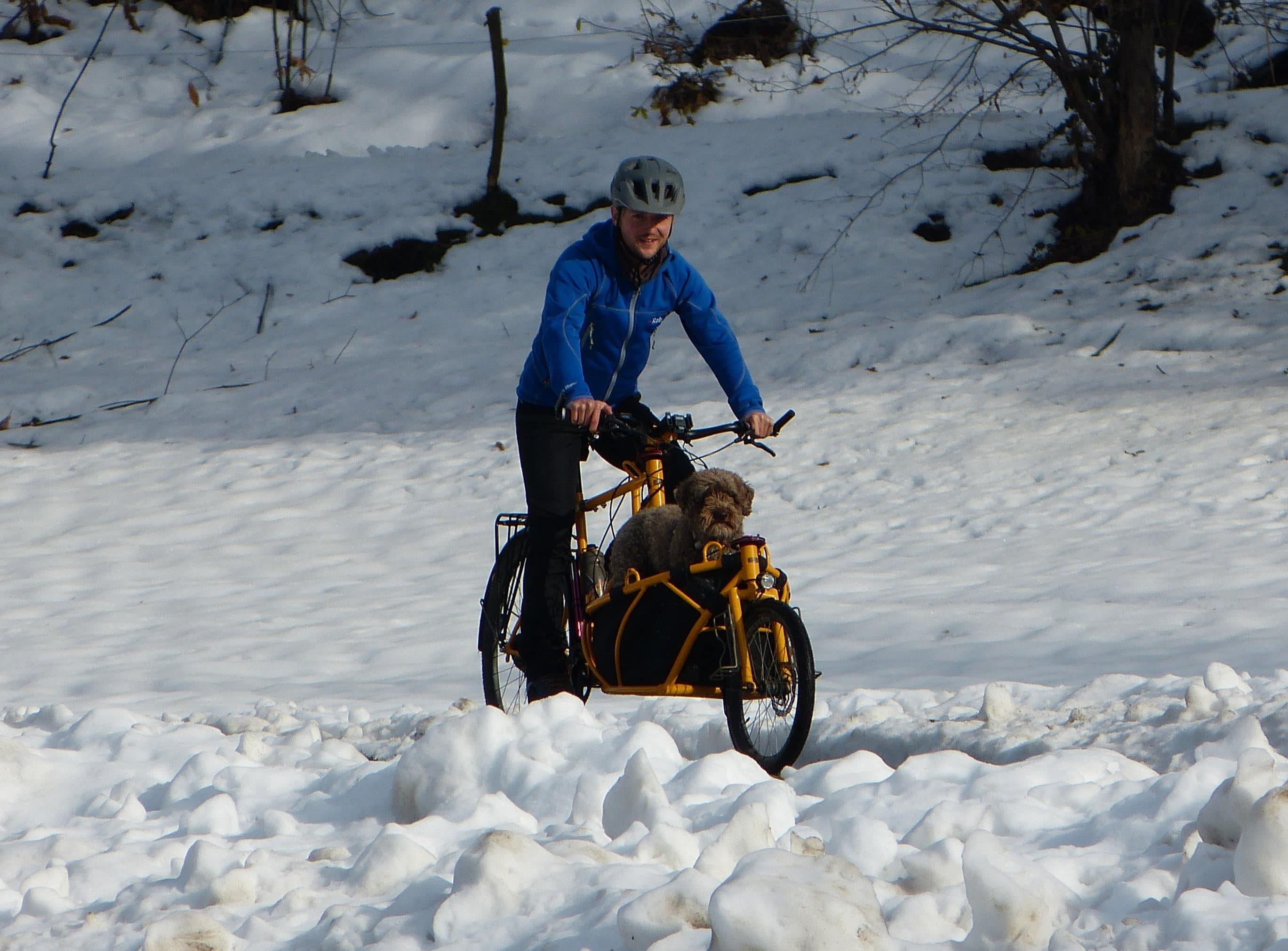 Daniel cyciling with Zola in his custom-made cargo bike in the snow