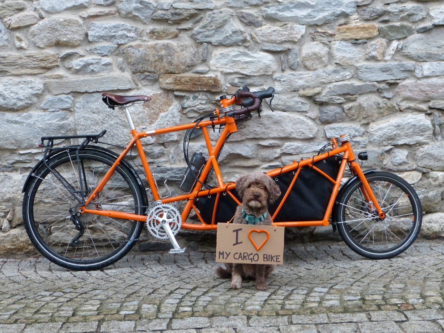 Dogs on bikes